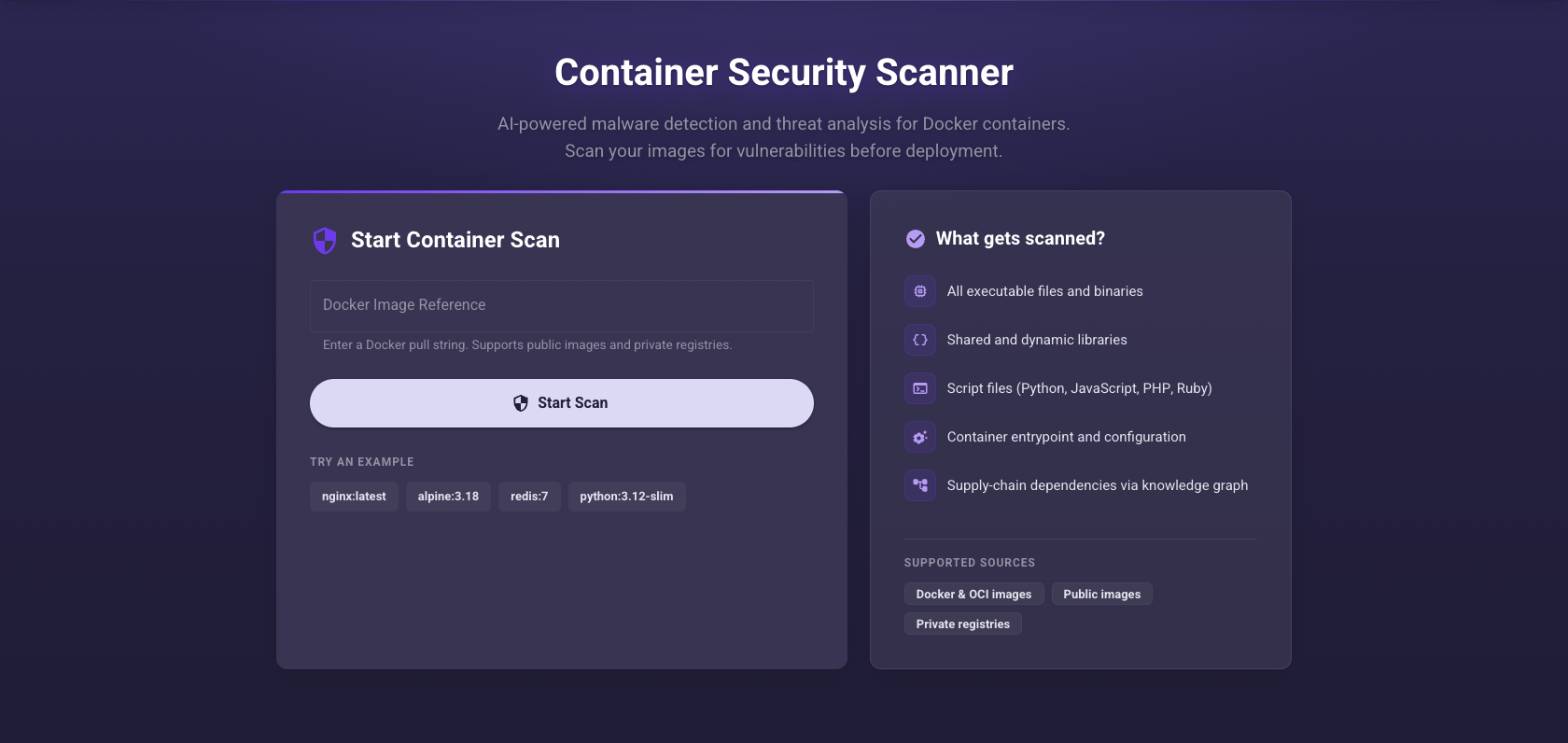 The NeonScan form for starting a container scan
